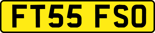 FT55FSO
