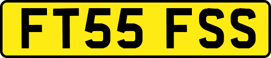 FT55FSS