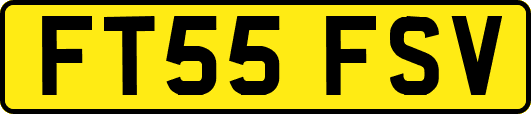 FT55FSV