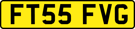 FT55FVG