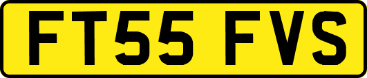 FT55FVS