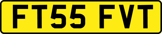FT55FVT