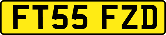FT55FZD