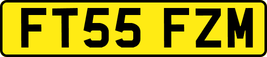 FT55FZM
