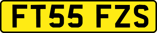 FT55FZS