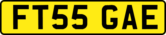 FT55GAE