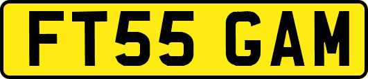 FT55GAM