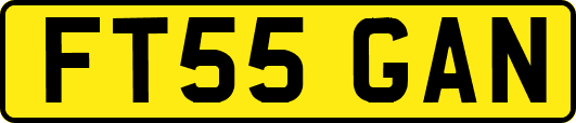 FT55GAN