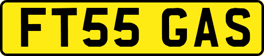 FT55GAS