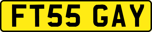 FT55GAY