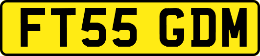 FT55GDM