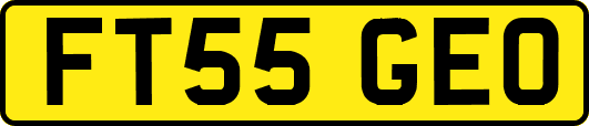 FT55GEO