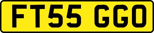 FT55GGO
