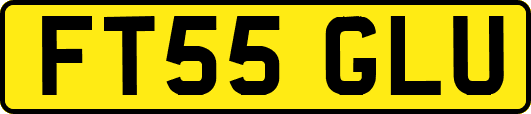 FT55GLU