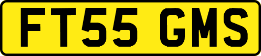 FT55GMS