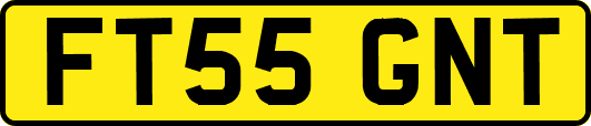 FT55GNT