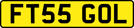 FT55GOL