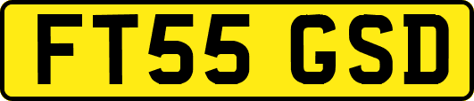 FT55GSD
