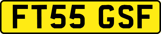 FT55GSF