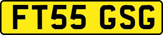 FT55GSG