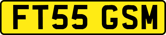 FT55GSM