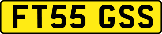 FT55GSS