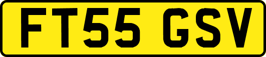 FT55GSV