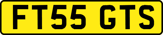 FT55GTS