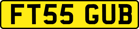 FT55GUB