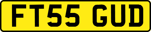 FT55GUD