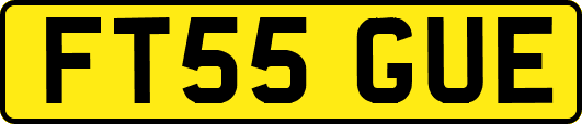 FT55GUE