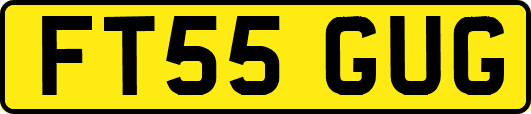 FT55GUG
