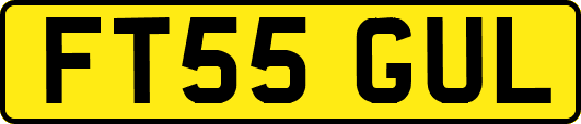 FT55GUL