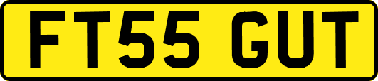 FT55GUT