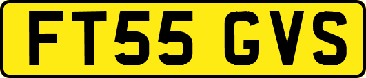 FT55GVS