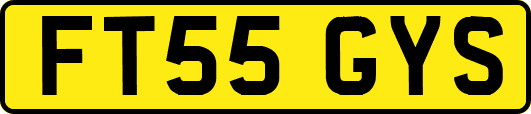 FT55GYS