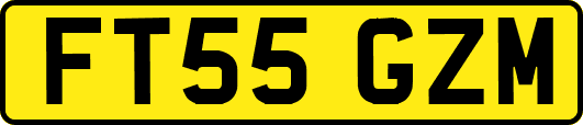 FT55GZM