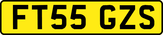 FT55GZS