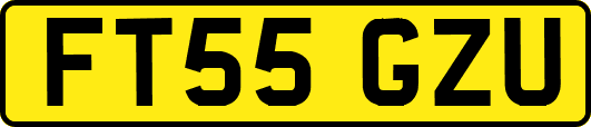 FT55GZU