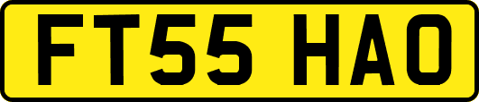 FT55HAO