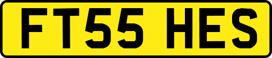 FT55HES