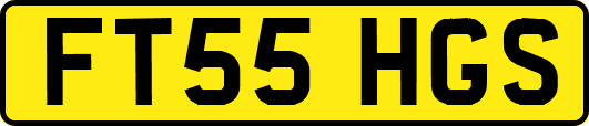 FT55HGS