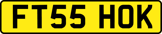 FT55HOK