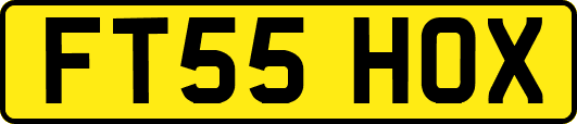 FT55HOX