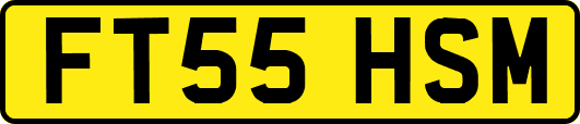 FT55HSM