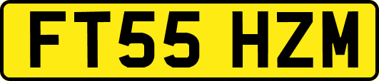 FT55HZM