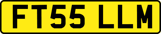 FT55LLM