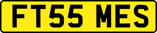 FT55MES