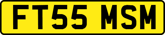 FT55MSM