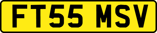 FT55MSV